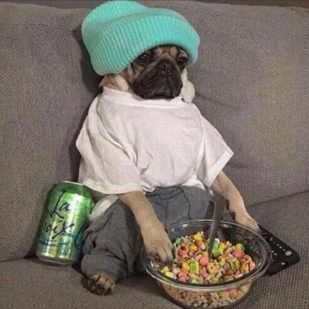 Магазин Чжào И