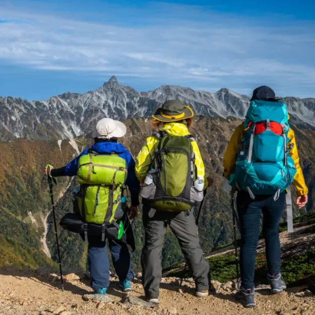 Изысканная сумка из бутика