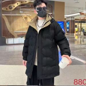88087